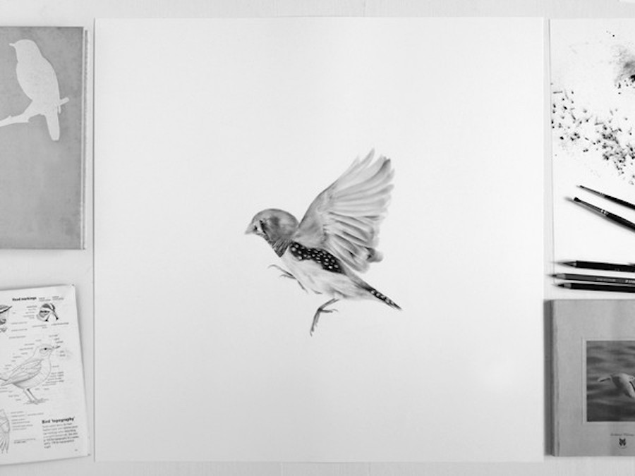 900x675 days hyperrealistic drawing project fubiz media - Drawing Project