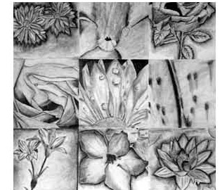 313x270 grid drawing project - Drawing Project