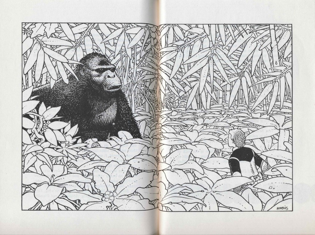 1024x765 Physical Affection Drawing - Drawing Project