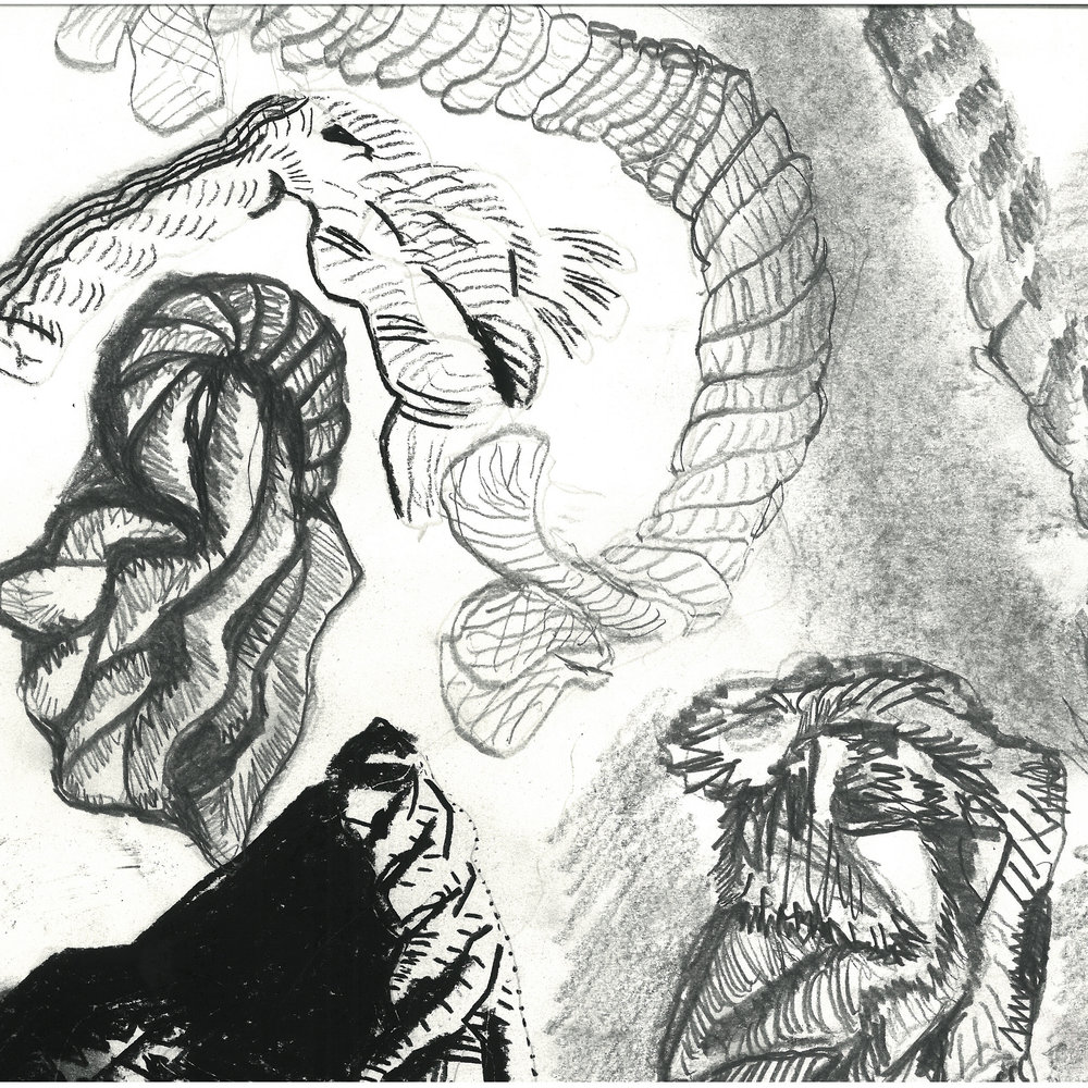 1000x1000 undergraduate drawing i leigh kaulbach - Drawing Project