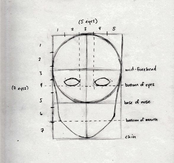 588x551 drawing the human head and figure in proportion steps - Drawing Proportions