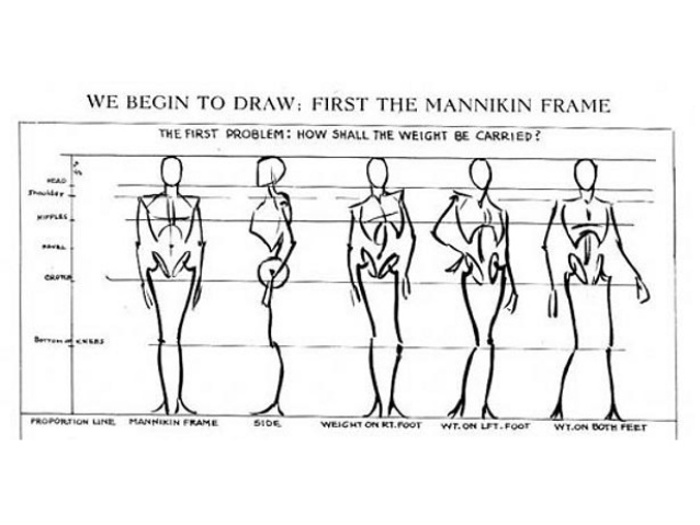 638x479 figure drawing proportion and construction - Drawing Proportions