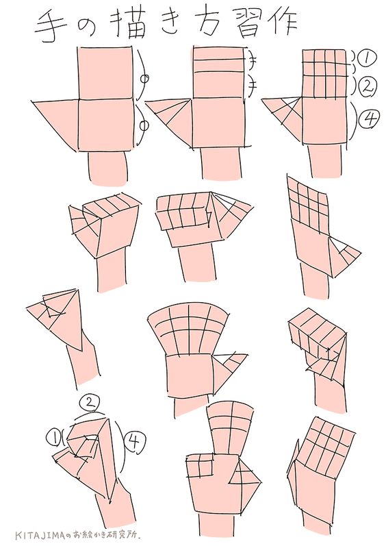 564x797 if someone struggles with hand drawing proportions! learntodraw - Drawing Proportions