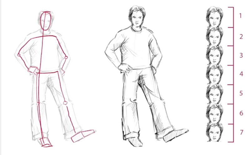 800x497 Drawing Techniques For Accuracy - Drawing Proportions