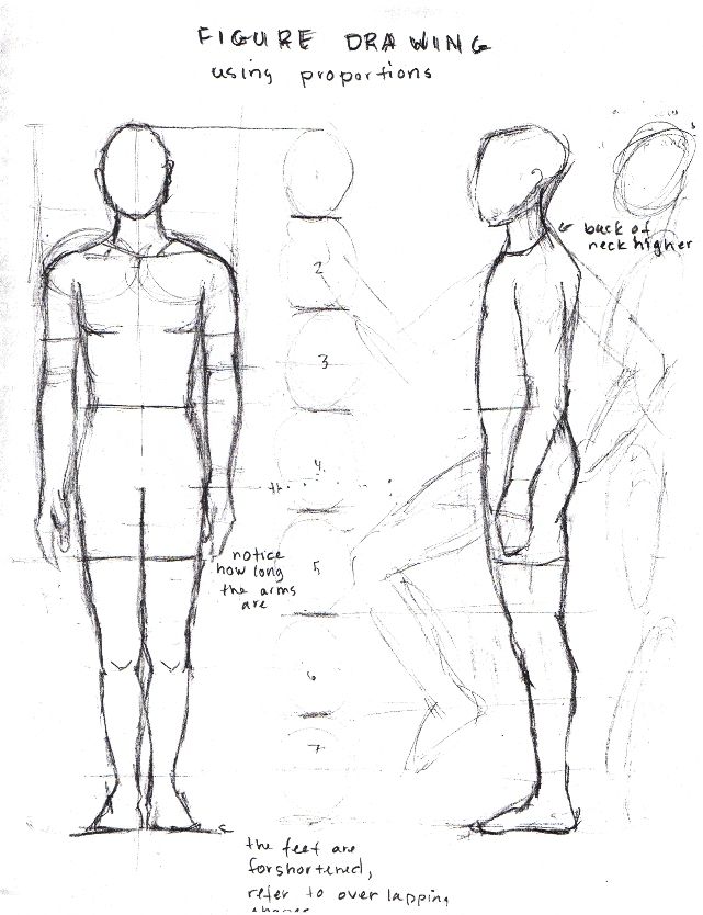 641x834 figure drawing proportions worksheet - Drawing Proportions