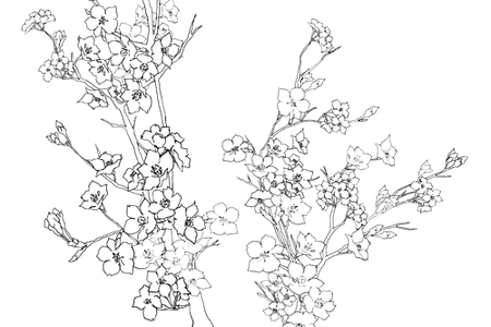 450x300 Dead Drawing Quote Huge Freebie! Download For Powerpoint - Drawing Quotes Tumblr