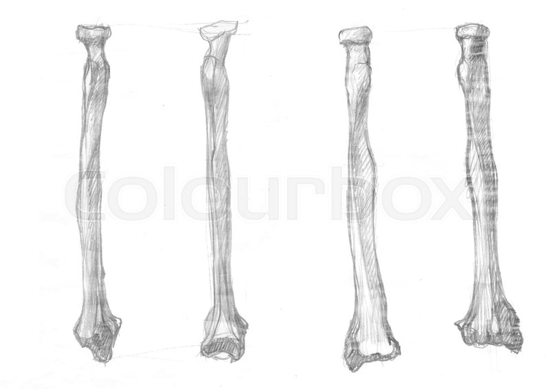 799x566 hand drawn illustrations of radius stock photo colourbox - Drawing Radius