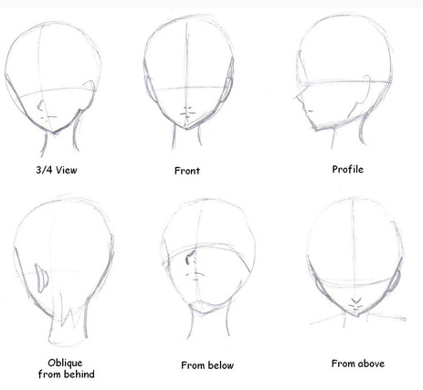463x427 Drawing References And Resources - Drawing References