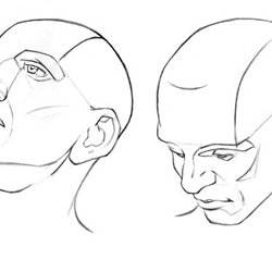 250x250 Figure Drawing References Pearltrees - Drawing References