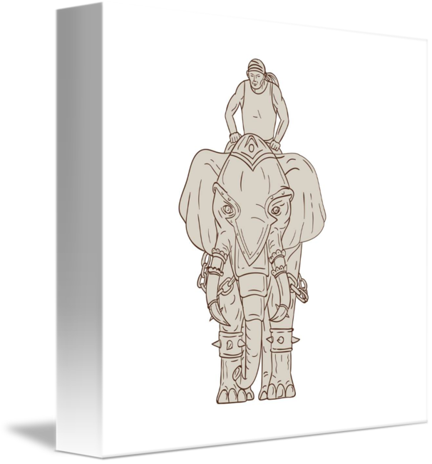 606x650 war elephant mahout rider drawing - Drawing Rider