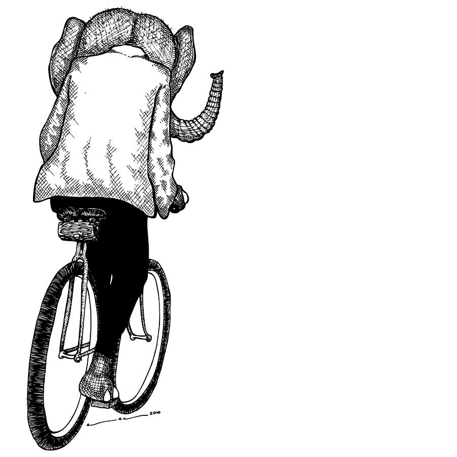 900x900 elephant bike rider drawing - Drawing Rider