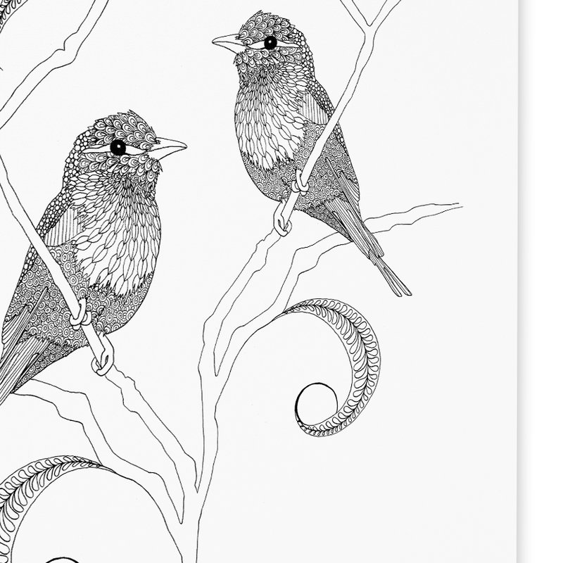 800x800 trademark art 'lilac breasted rollers' drawing print on wrapped - Drawing Rollers