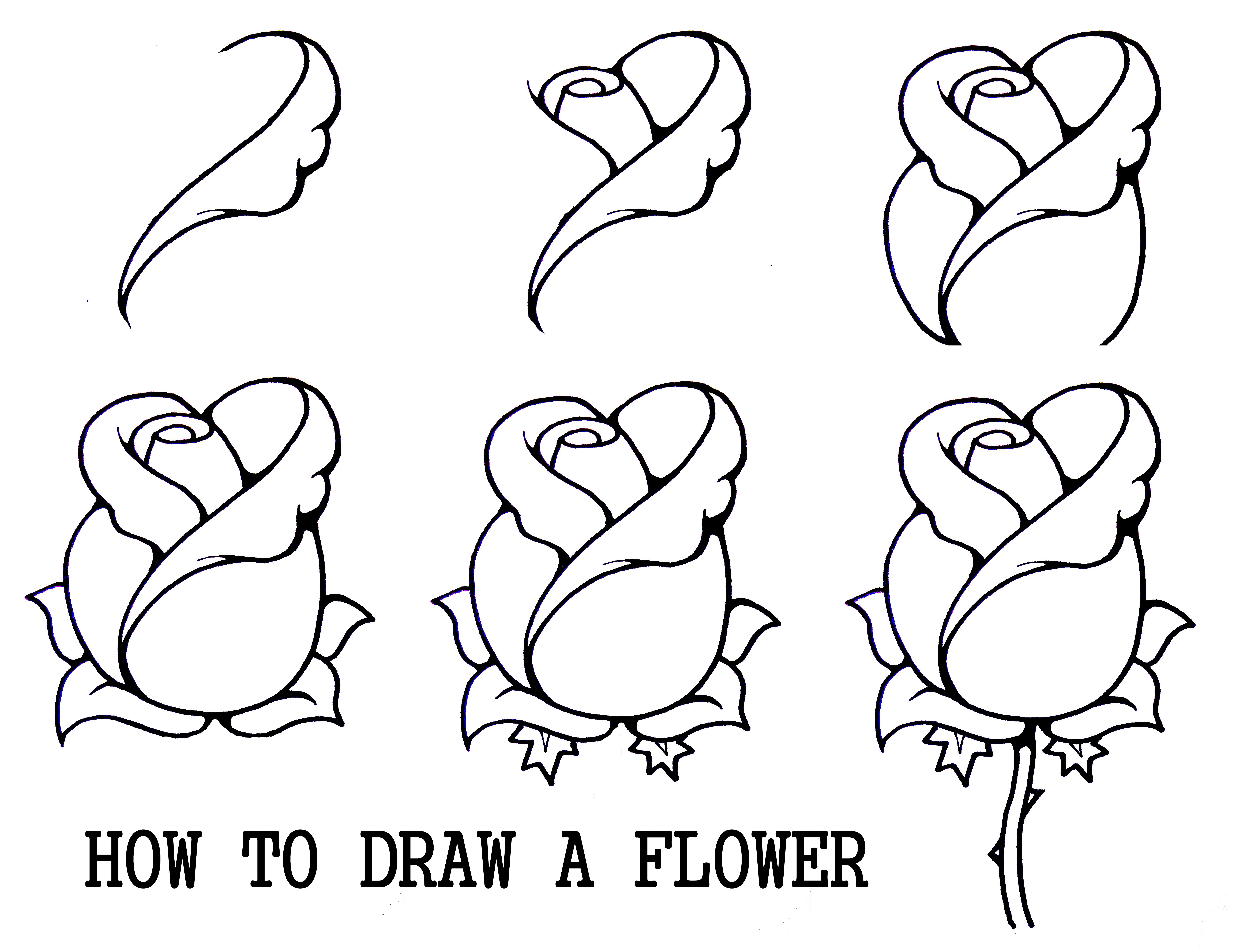 7087x5459 Line Drawings Of Flowers Free Download Line Drawing Drawings - Drawing Rose Flower Step Step