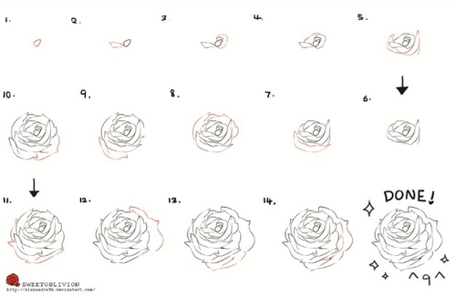 500x327 Steps To Drawing A Spectacular Rose On We Heart It - Drawing Rose Flower Step Step