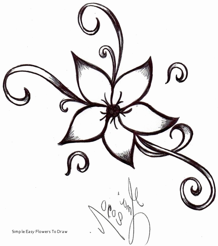 736x830 Easy To Draw Rose Flower - Drawing Rose Flower Step Step