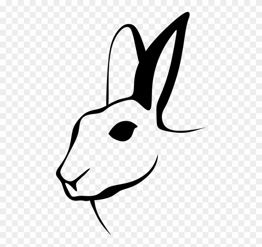 880x830 White Rabbit Download Computer Icons Drawing - Drawing Rug