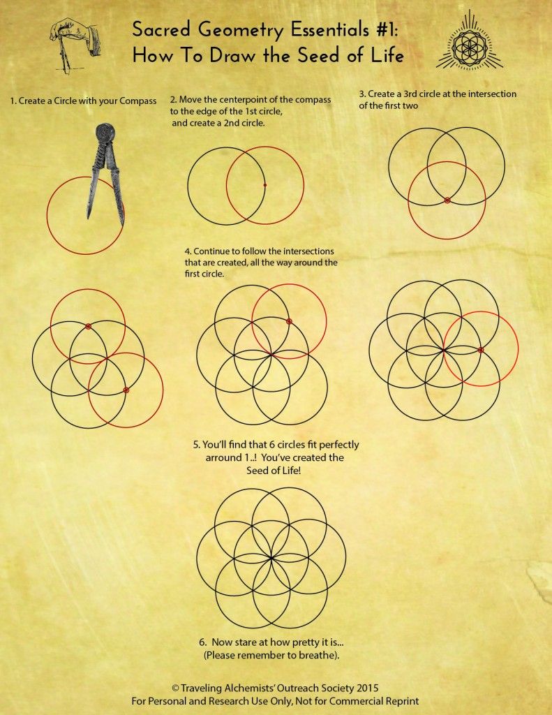 791x1024 how to draw the seed of life sacred geometry tattoo ideas - Drawing Sacred Geometry