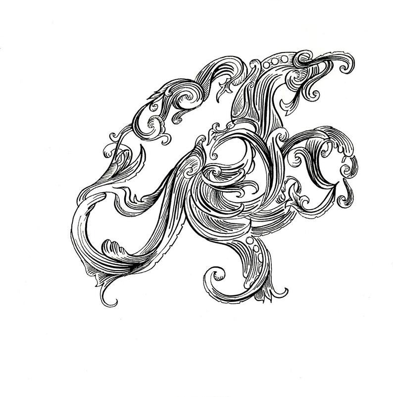 794x801 Octopus Drawing The Golden Age Of Octopodes Original Etsy - Drawing Scrollwork