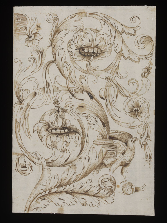576x768 Decorative Acanthus Scrollwork With Bird Of Prey And Snail - Drawing Scrollwork