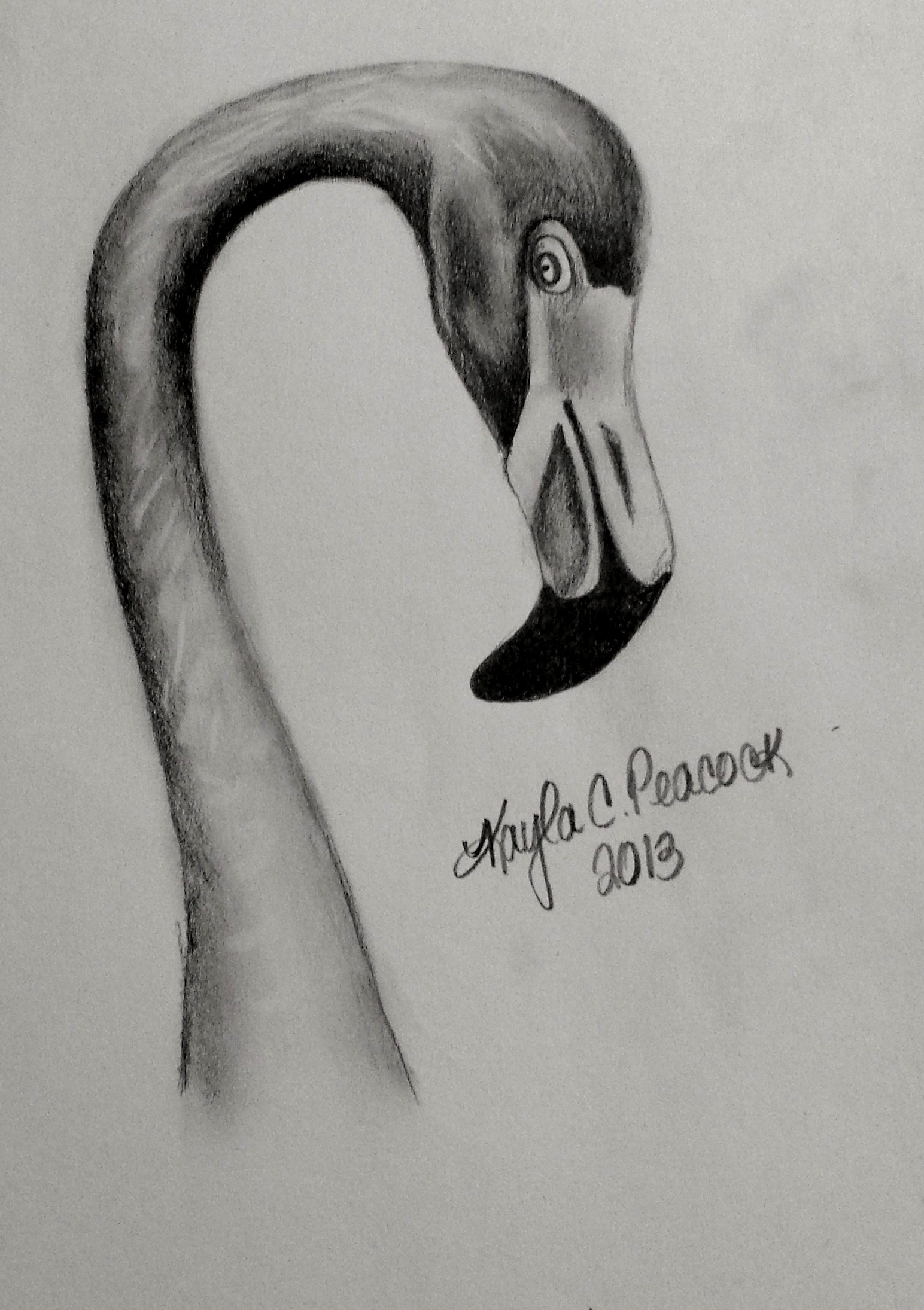 1544x2190 Shading Series Flamingo Sketchbook - Drawing Shading