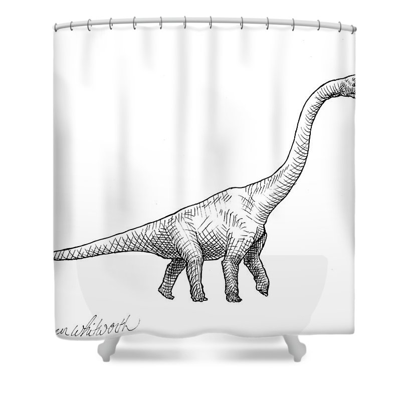 800x800 brachiosaurus dinosaur black and white dino drawing shower curtain - Drawing Shower Curtain