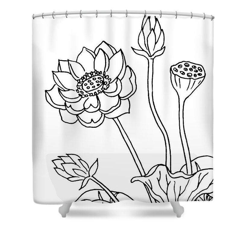 800x800 lotus flowers drawing shower curtain for sale - Drawing Shower Curtain