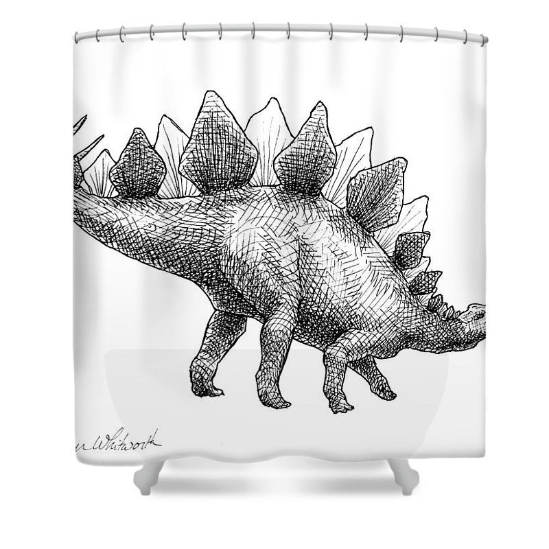 800x800 Stegosaurus - Drawing Shower Curtain