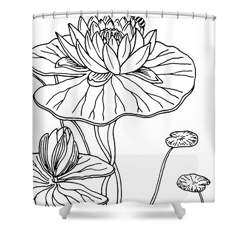 800x800 waterlily and bee drawing shower curtain for sale - Drawing Shower Curtain