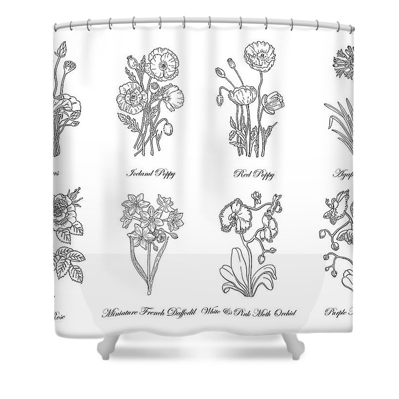 800x800 black and white botanical flowers drawing shower curtain for sale - Drawing Shower Curtain