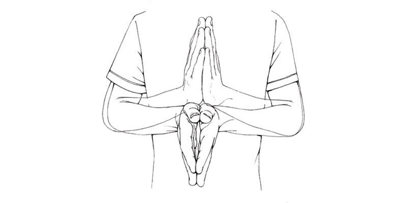 780x400 Top Italian American Slang Words Pete Giovine - Drawing Slang