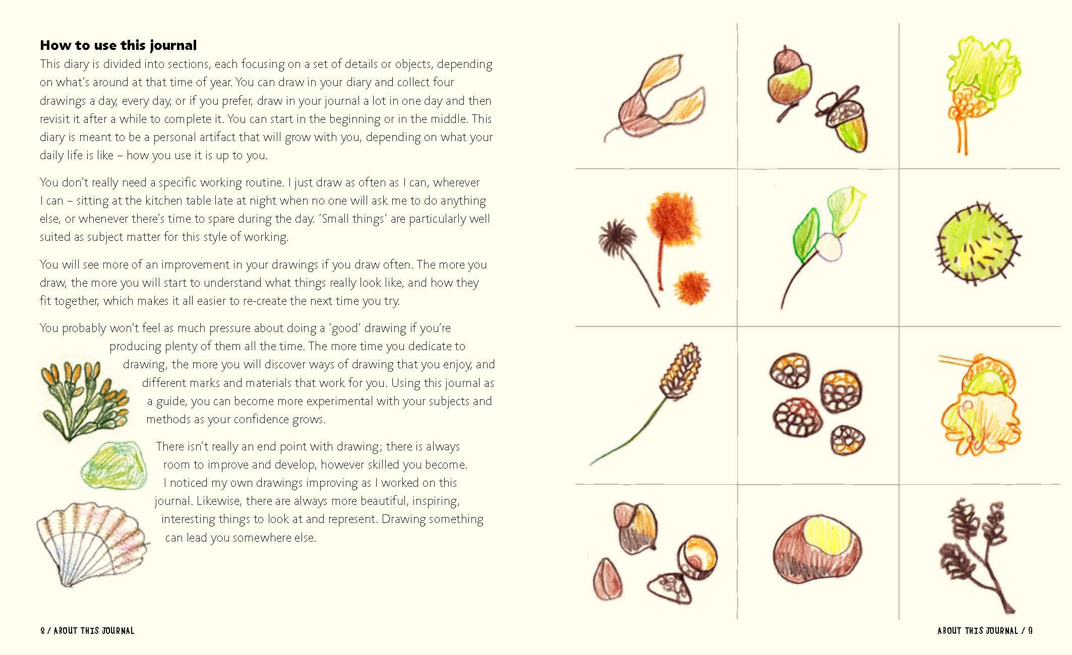 2126x1300 My Year In Small Drawings Notice, Draw, Appreciate - Drawing Small Things