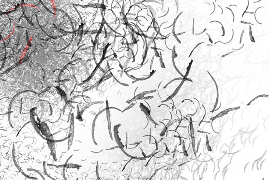 900x600 A Collection Of Small Things Jenny Hyde - Drawing Small Things