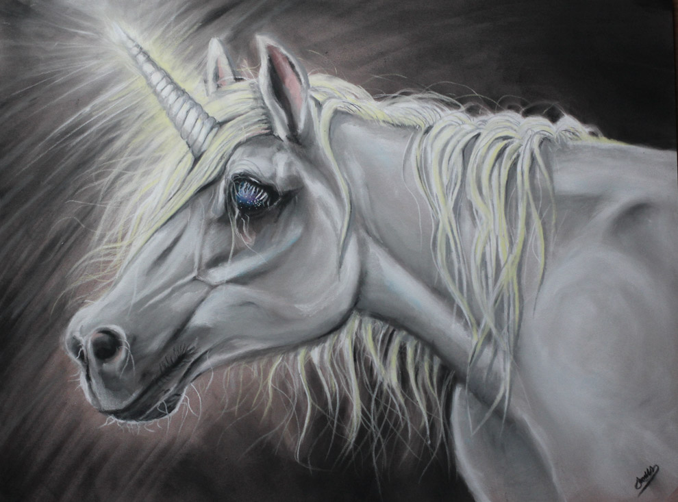 990x733 horse drawing soft pastel for free download - Drawing Soft
