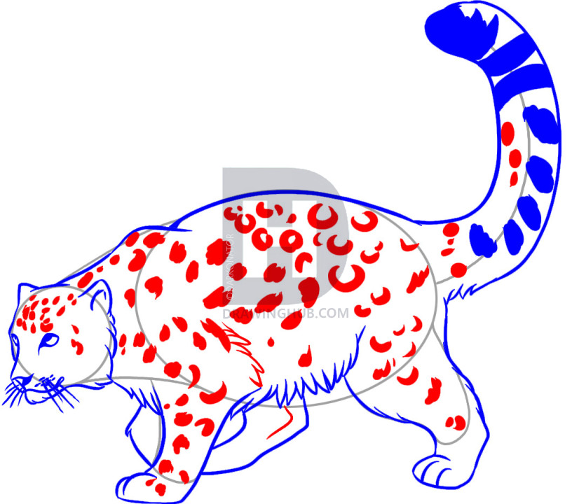 826x720 how to draw a snow leopard, step - Drawing Spots