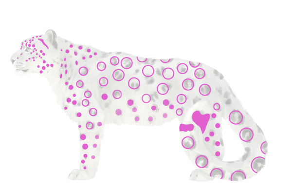 600x392 how to draw animals big cats, their anatomy and patterns - Drawing Spots