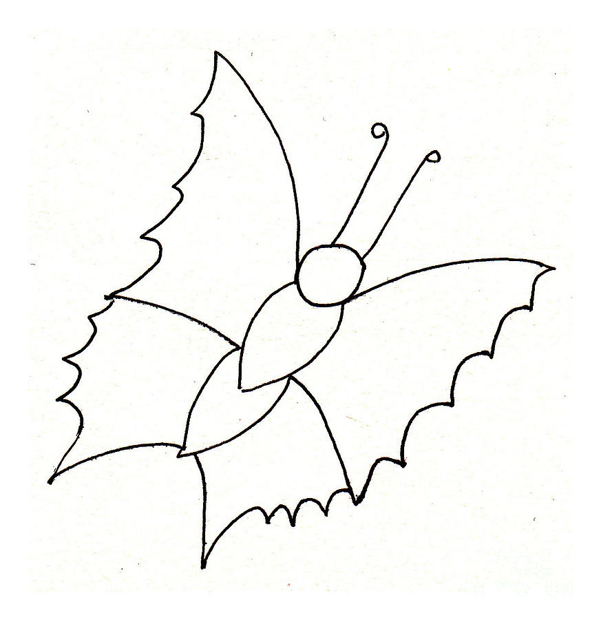 873x900 the butterfly with no spots drawing - Drawing Spots