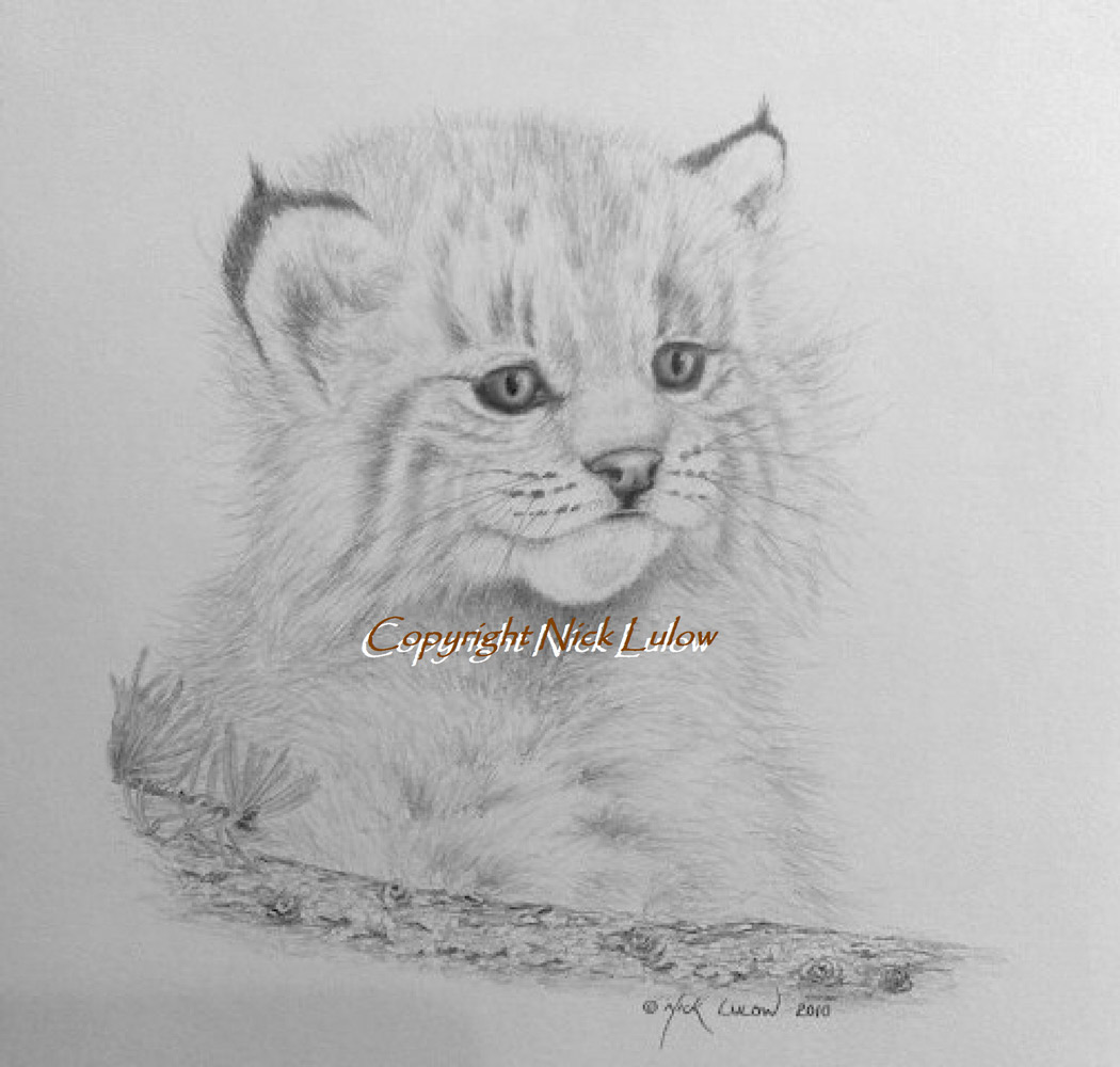 1050x1000 Welcome To Nick Lulow Art! - Drawing Status