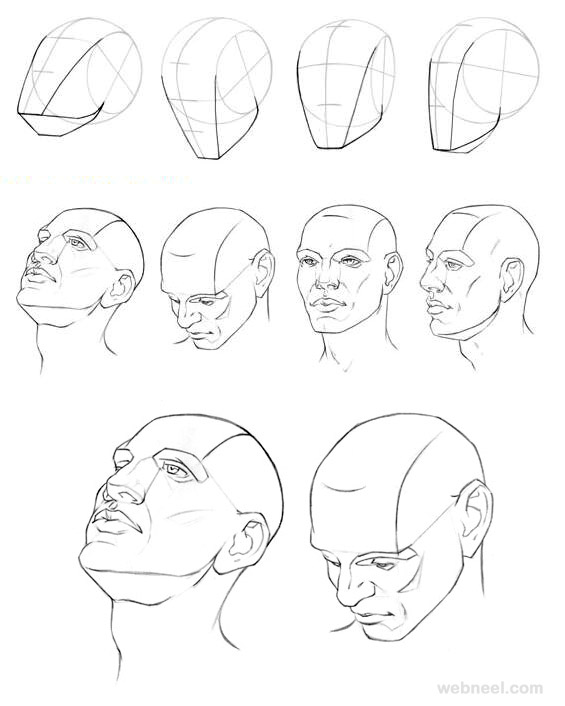 565x706 How To Draw A Face - Drawing Steps