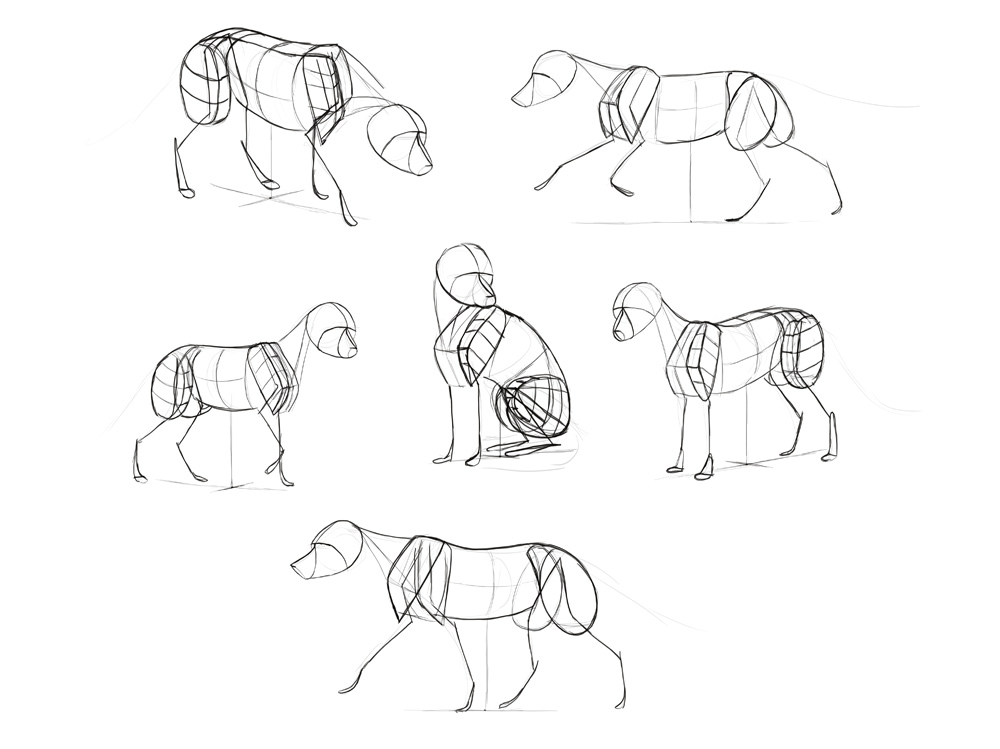 1000x749 How To Draw A Fox Step - Drawing Steps