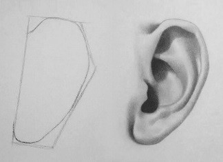 324x235 How To Draw An Ear Easy Steps Rapidfireart - Drawing Steps