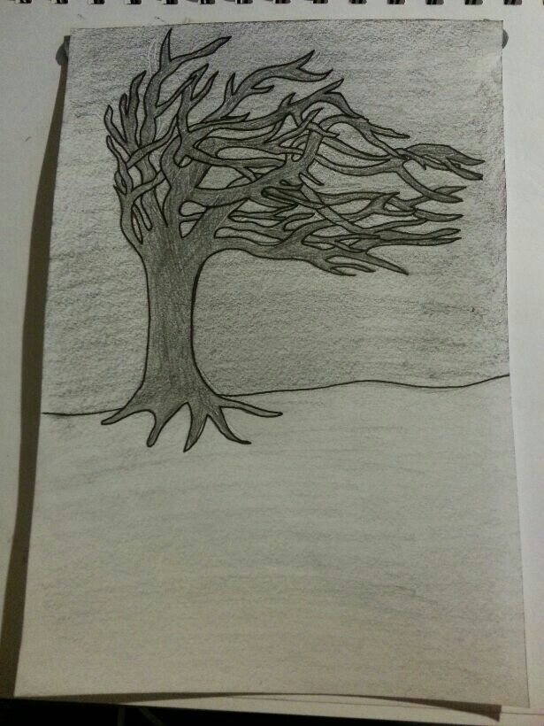 615x820 tree in a storm, pencil drawing i did iko pencil drawings - Drawing Storm