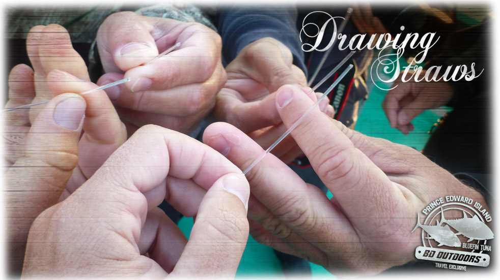 982x551 drawing straws - Drawing Straws