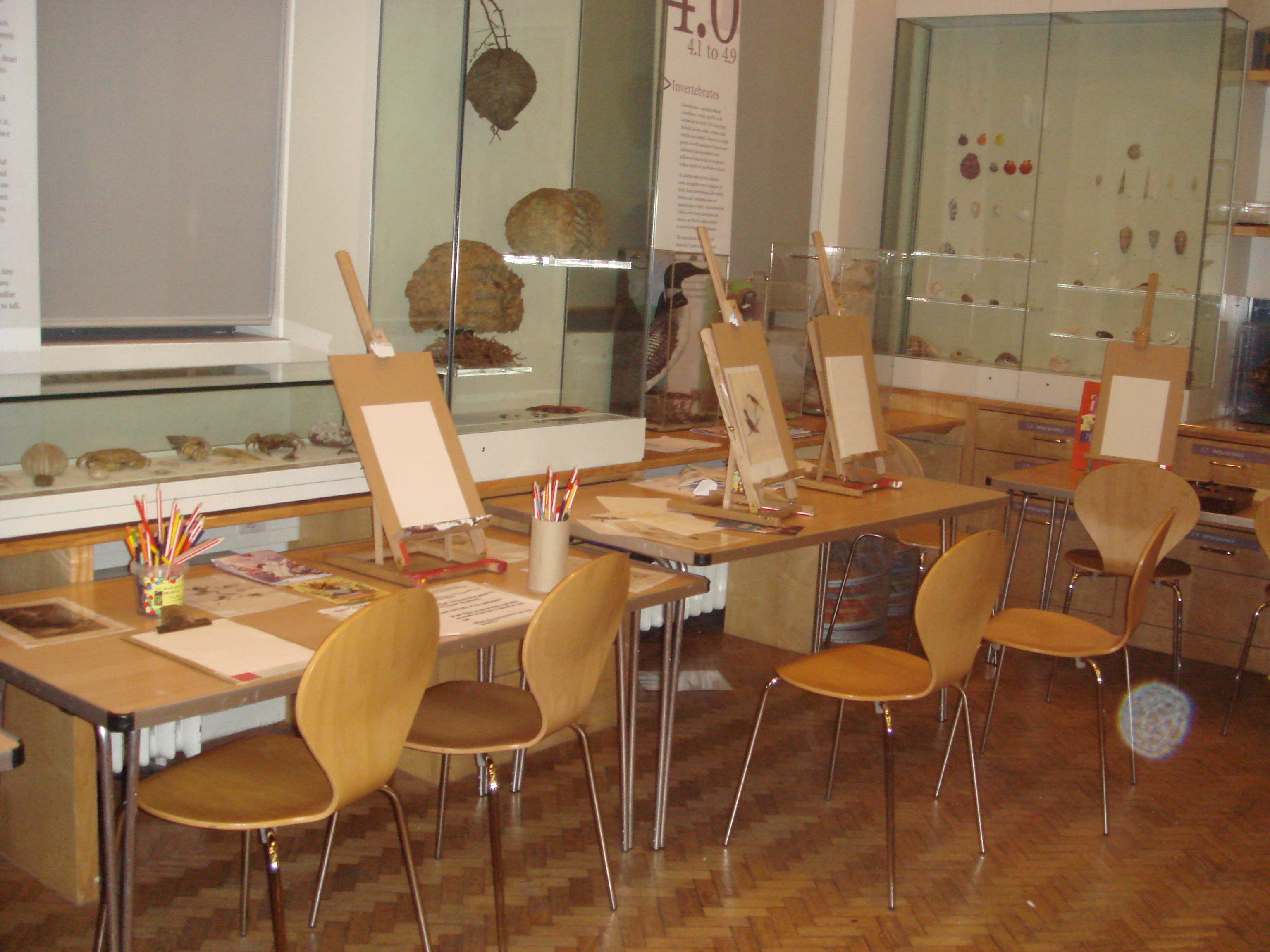 3072x2304 The Darwin Drawing Studio Enquiremanchester's Weblog - Drawing Studio