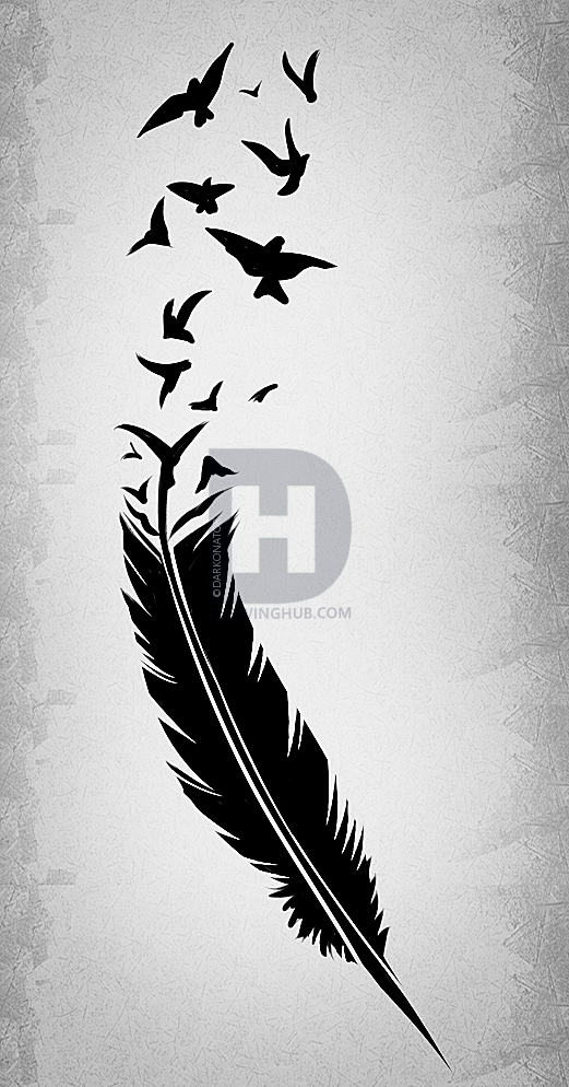 521x994 To Draw A Black Feather Black Feather Tattoo Step - Drawing Tattoos Step By Step