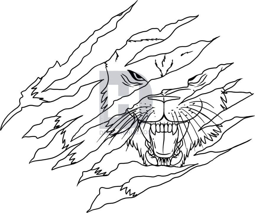 863x720 How To Draw A Lion Tattoo, Step - Drawing Tattoos Step By Step