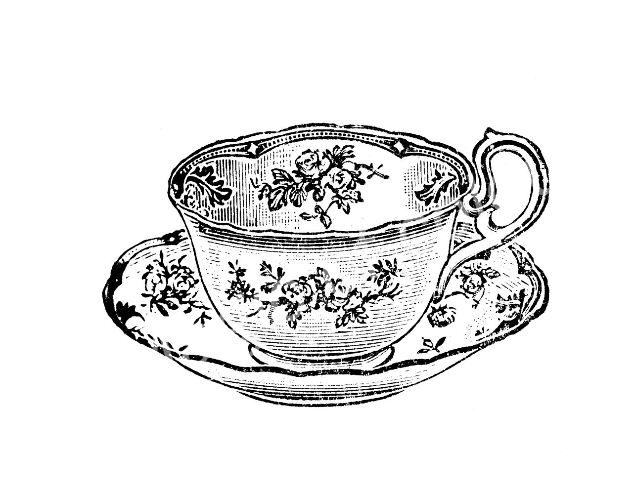 1284x992 images for gt vintage teacup drawing sprout - Drawing Tea Cup