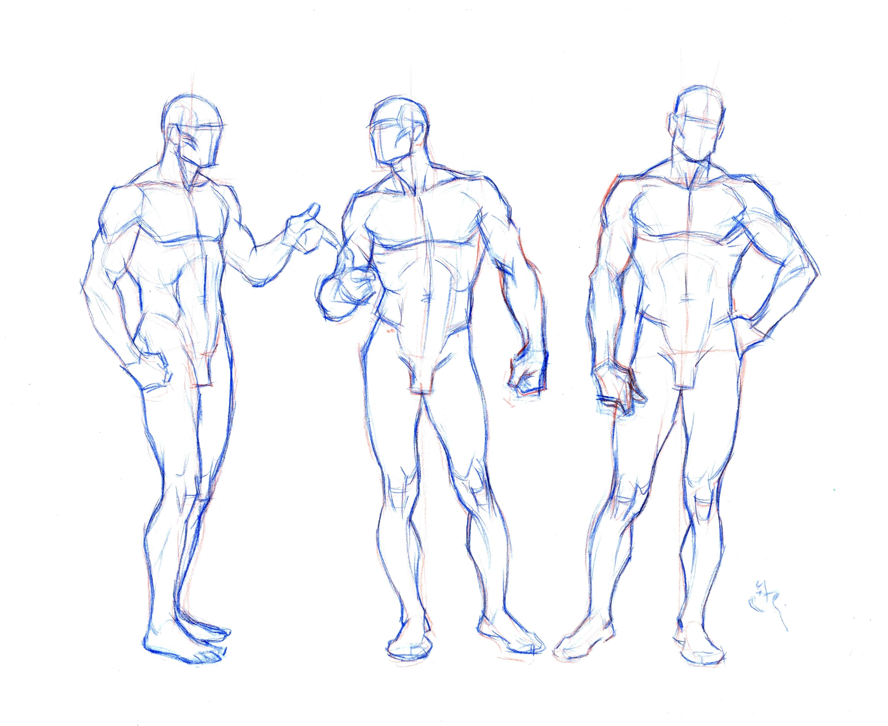 3000x2453 Human Body Drawing Templates Archives - Drawing Templates Free