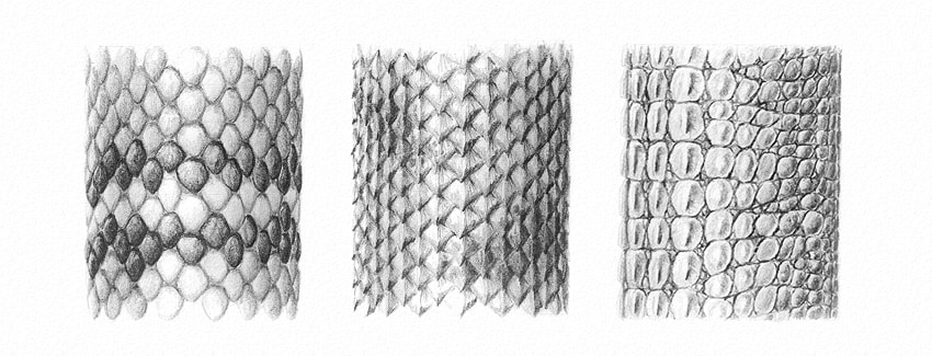 850x325 How To Draw Scales - Drawing Textures With Pencil