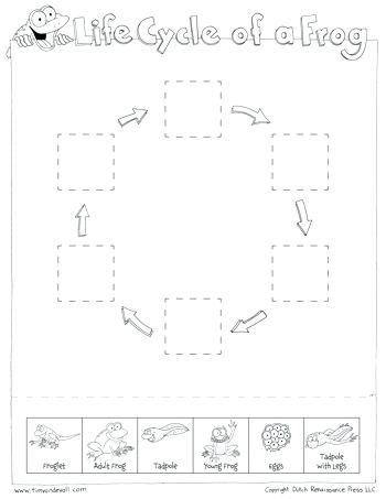 350x453 life cycle worksheets life cycle of a frog drawing at com free - Drawing The Life Cycle Of A Plant