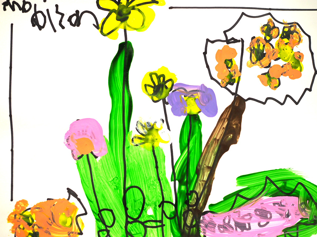 1200x900 The Lifecycle Of A Plant Kindalin Early Childhood Learning - Drawing The Life Cycle Of A Plant